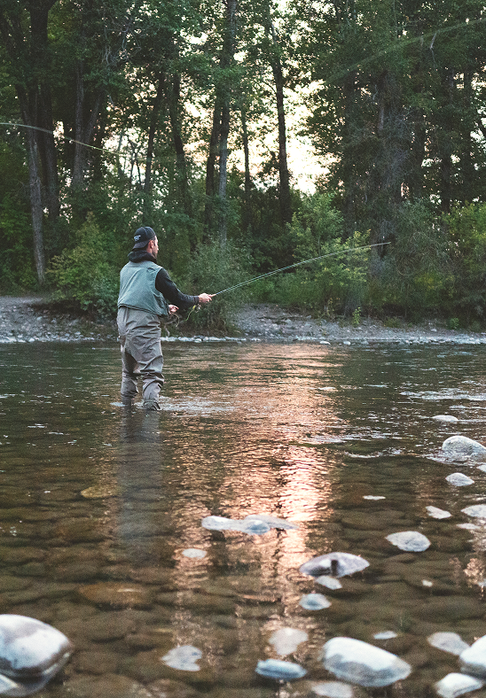 man wearing waders and fly fishing in the Gallatin River in Montana